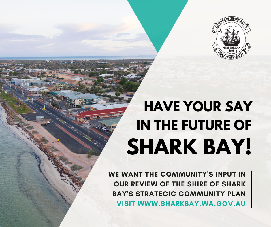 Strategic Community Plan Survey