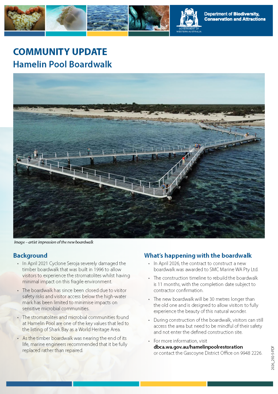 Hamelin Pool Boardwalk Update