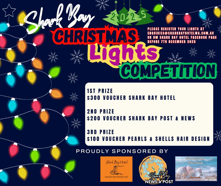 Christmas Light Competition 2025