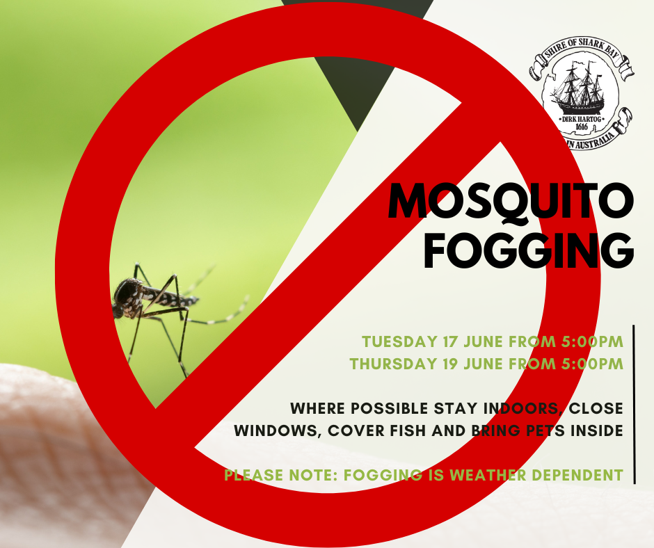 Mosquito Fogging Delayed