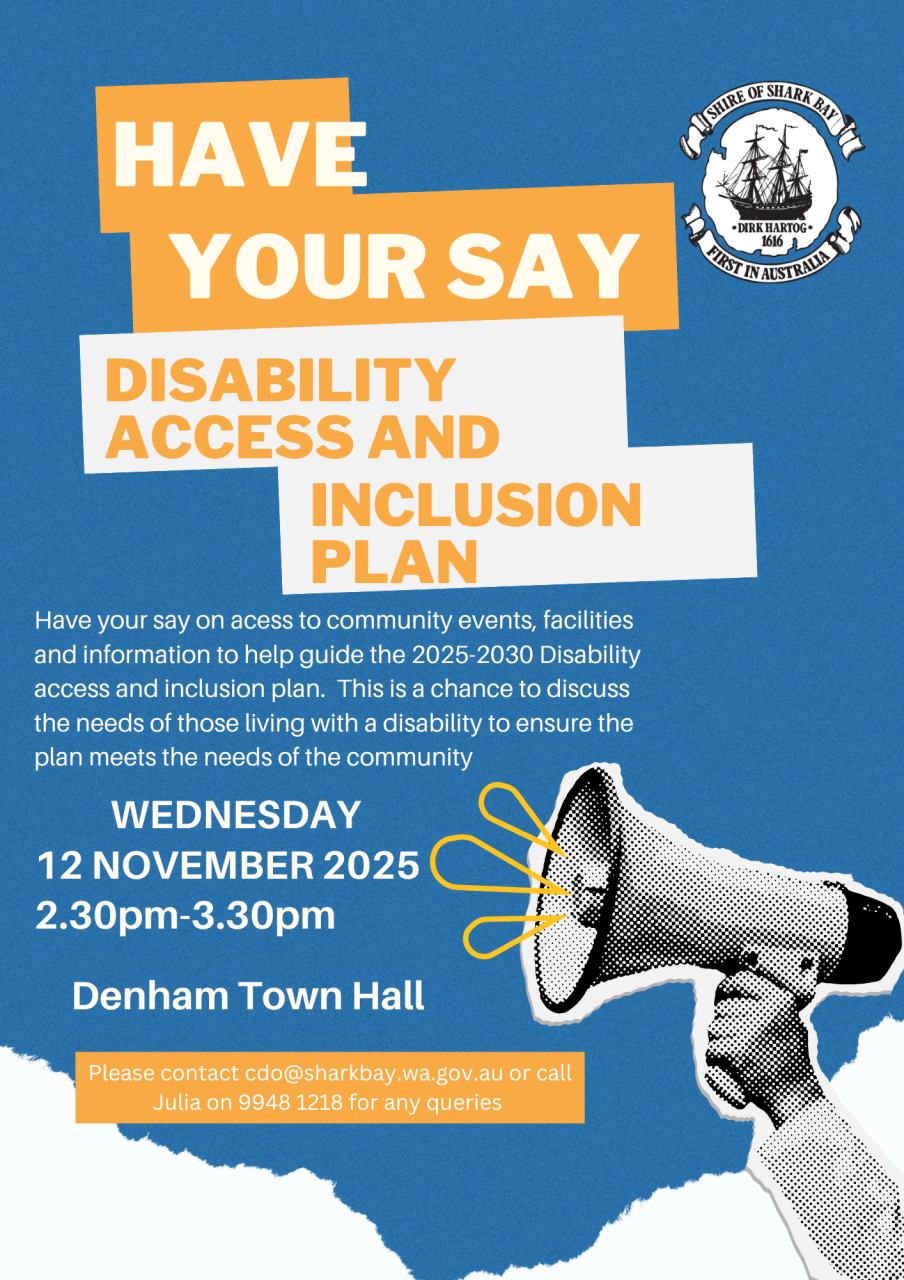 Community Consultation: Disability Access and Inclusion Plan