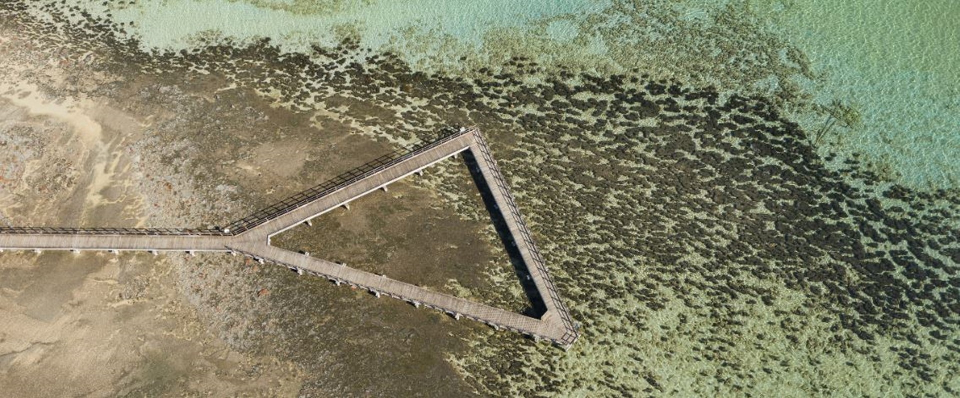 Picture: Hamelin Pool Stromatolites